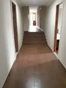 Magnolia Agmashenebeli - 9