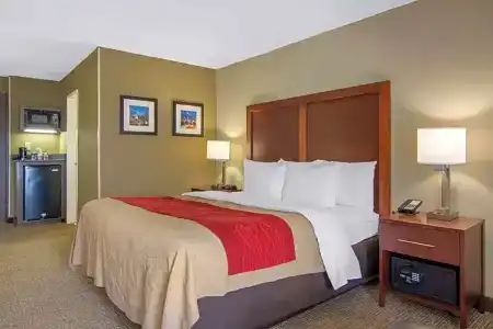 Comfort Inn Sandy Springs – Perimeter - 42
