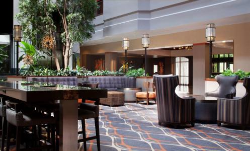 Embassy Suites by Hilton Dallas Near the Galleria - 25