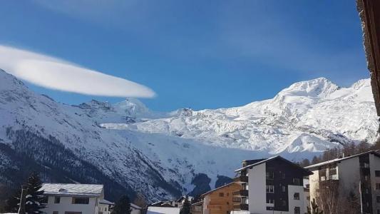 Alpenperle - 41