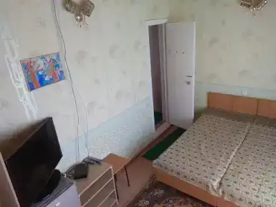 Подсолнухи - 53