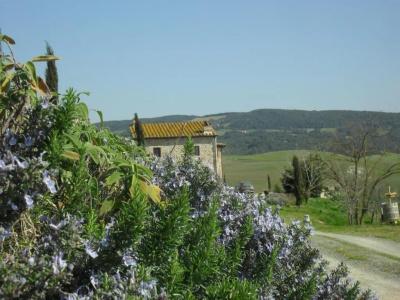 Agriturismo Podere Campaini - 13