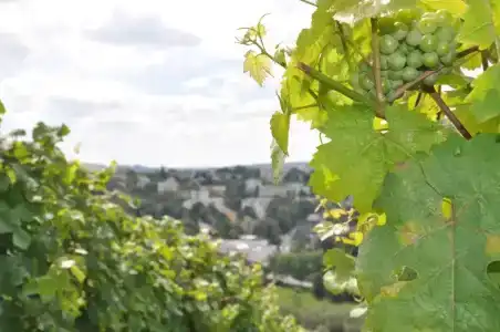 Schroeders Wein-Style-Hotel - 14