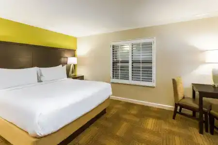 Staybridge Suites Savannah Historic District, an IHG - 3