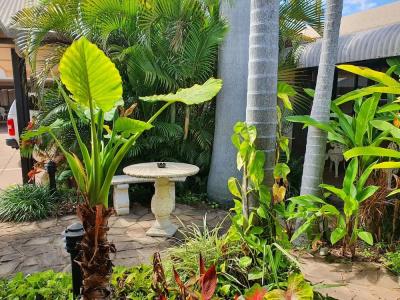 Rockhampton Palms Motor Inn - 51
