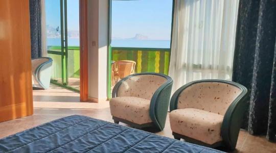 Kaktus Albir - 93