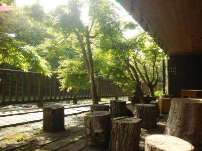 Shiobara Onsen Ryokan Kamiaizuya - 23