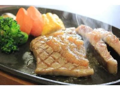 Fujiya - 12