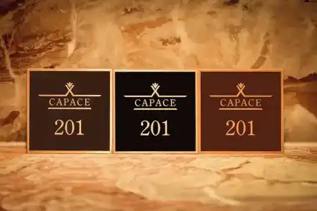 Capace Gangnam - 112