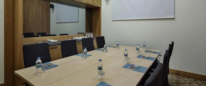 Hilton Garden Inn Diyarbakir - 4