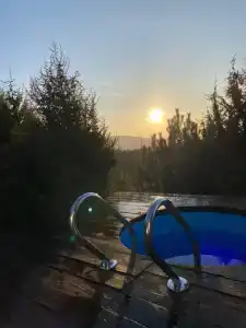 Лес Абрау - 14