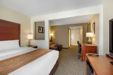 Comfort Inn & Suites SW Houston Sugarland - 48