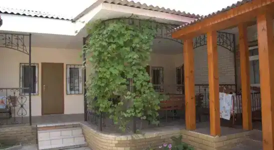 Galina - 0