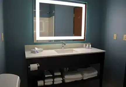 Microtel Inn & Suites by Wyndham College Station - 73