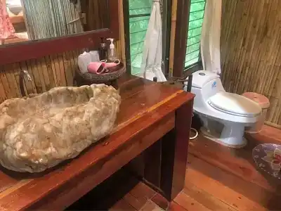 Viking Nature Resort - 52