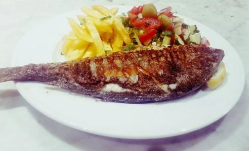 Dar Mezraya Jerba - 12