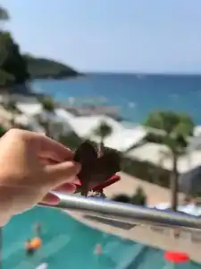 Poda Boutique Ksamil - 2
