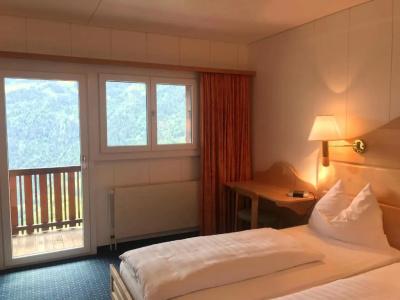 Bellevue-Wengen - Best view in town! - 63