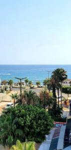Palmen Apart - 123