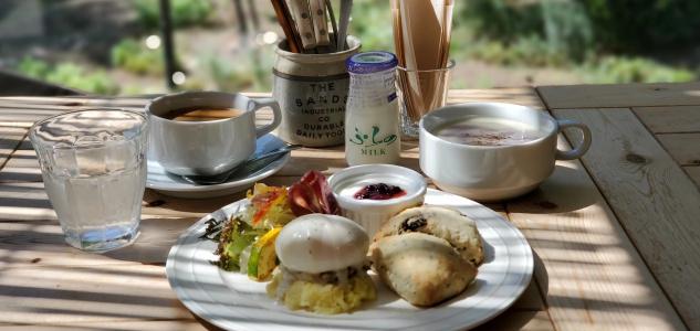 Pension Gooseberry - 9