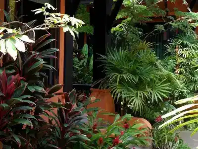 The Shambhala Khaolak - 16