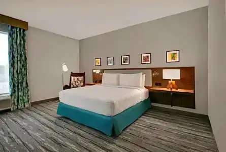 Hilton Garden Inn Houston Medical Center, Tx - 56
