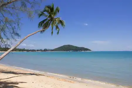 Rajapruek Samui - Sha Plus - 21