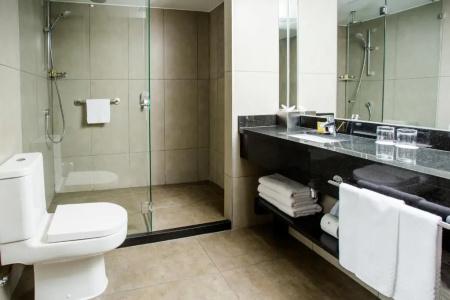 DoubleTree by Hilton - Vitacura - 44