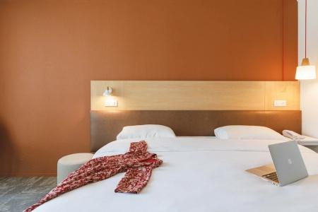 ibis Styles Aix les Bains - 59