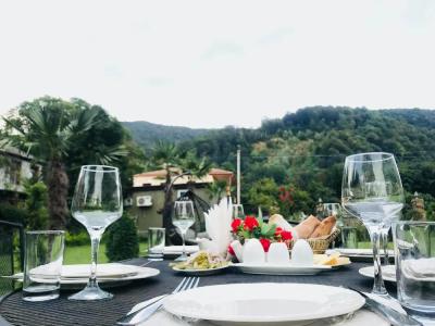 Royal Palace, Lagodekhi - 15