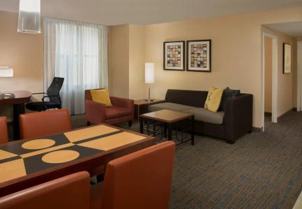 Residence Inn by Marriott Downtown / Entertainment District - 2