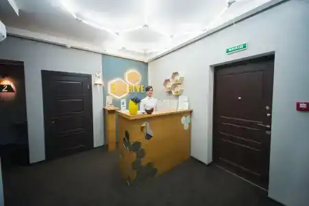Beehive - 9