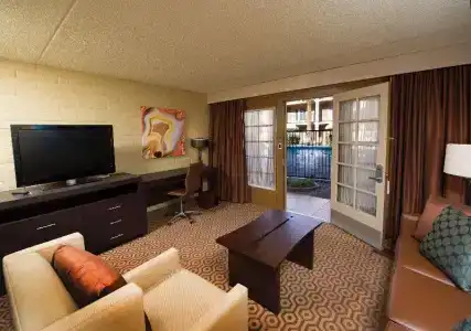 DoubleTree Suites by Hilton Tucson-Williams Center - 36