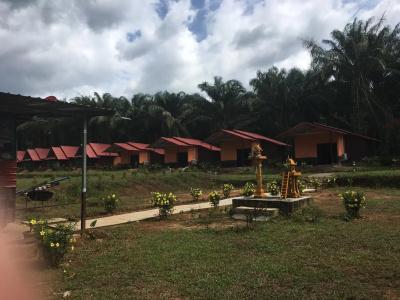 Khao Sok Evergreen House - 6