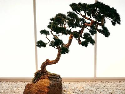 nol kyoto sanjo - 87