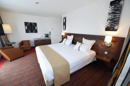 Holiday Inn Mulhouse, An Ihg - 100
