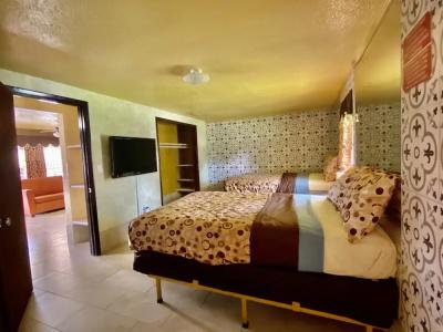 Savannah Inn and Suites - 30