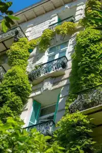 Le Windsor, Jungle Art - 36
