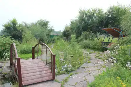 Золотая подкова - 10