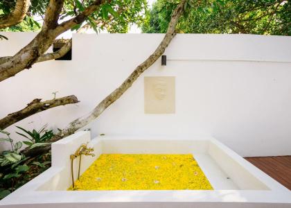 Mango T. Villa Chiangmai - 20