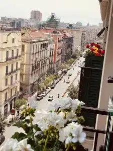 Nacu 90 - 11