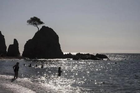 Rovira - 18