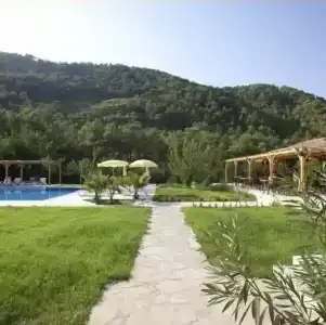 Yonca - 19