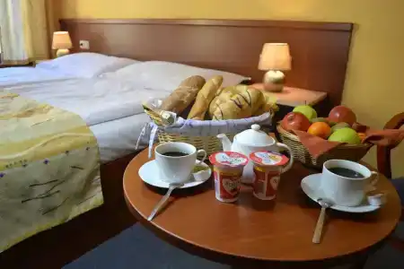 ApartAustria Suites - 52