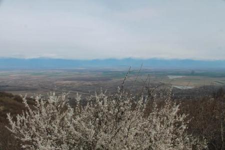 Guest House Shota - 26