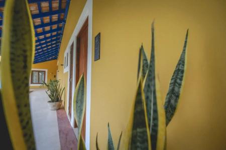 Wakax Hacienda - 9