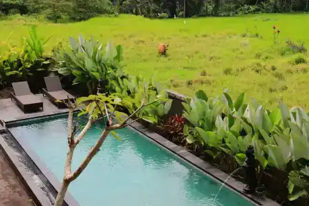 Uma Kutuh 2 - 29