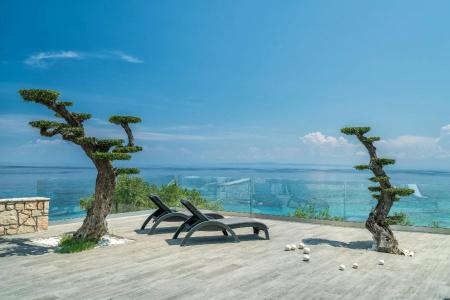 Kymothoe Elite - 18