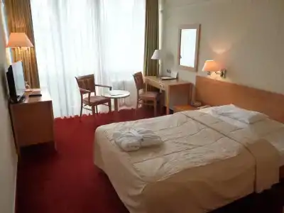 Ensana Esplanade - 61