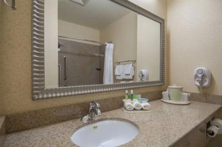 Holiday Inn Express & Suites Central - 55